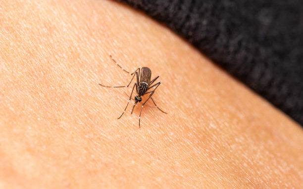 Brasil pasa por un brote de dengue exacerbado por El Niño